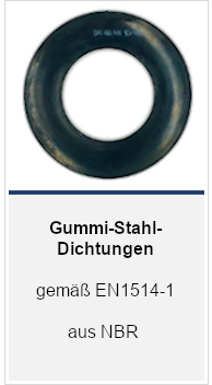 Beliebte_Produktkategorien2_Gummi-Stahl-Dichtungen_NBR